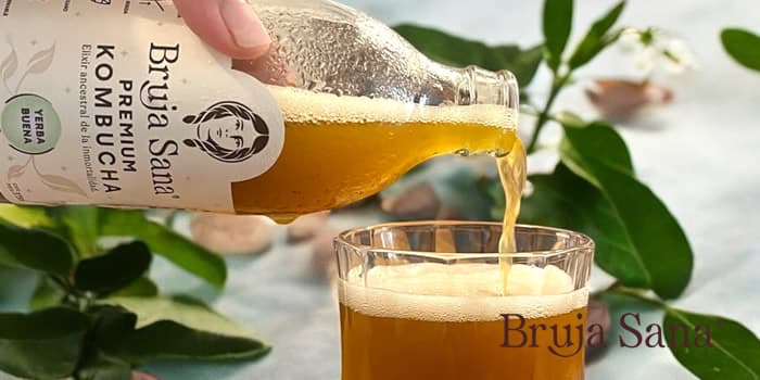 Dónde comprar Kombucha en México — Bruja Sana