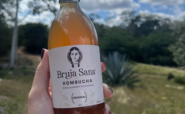 Community and artisanal production in Yucatán