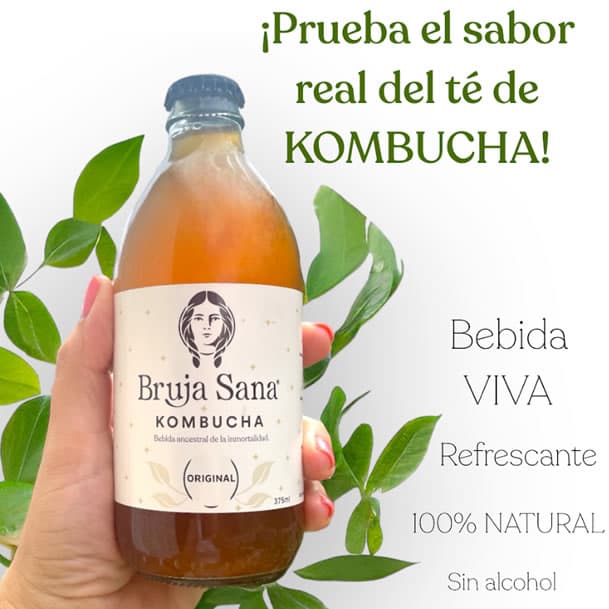 The SCOBY, the mother of kombucha