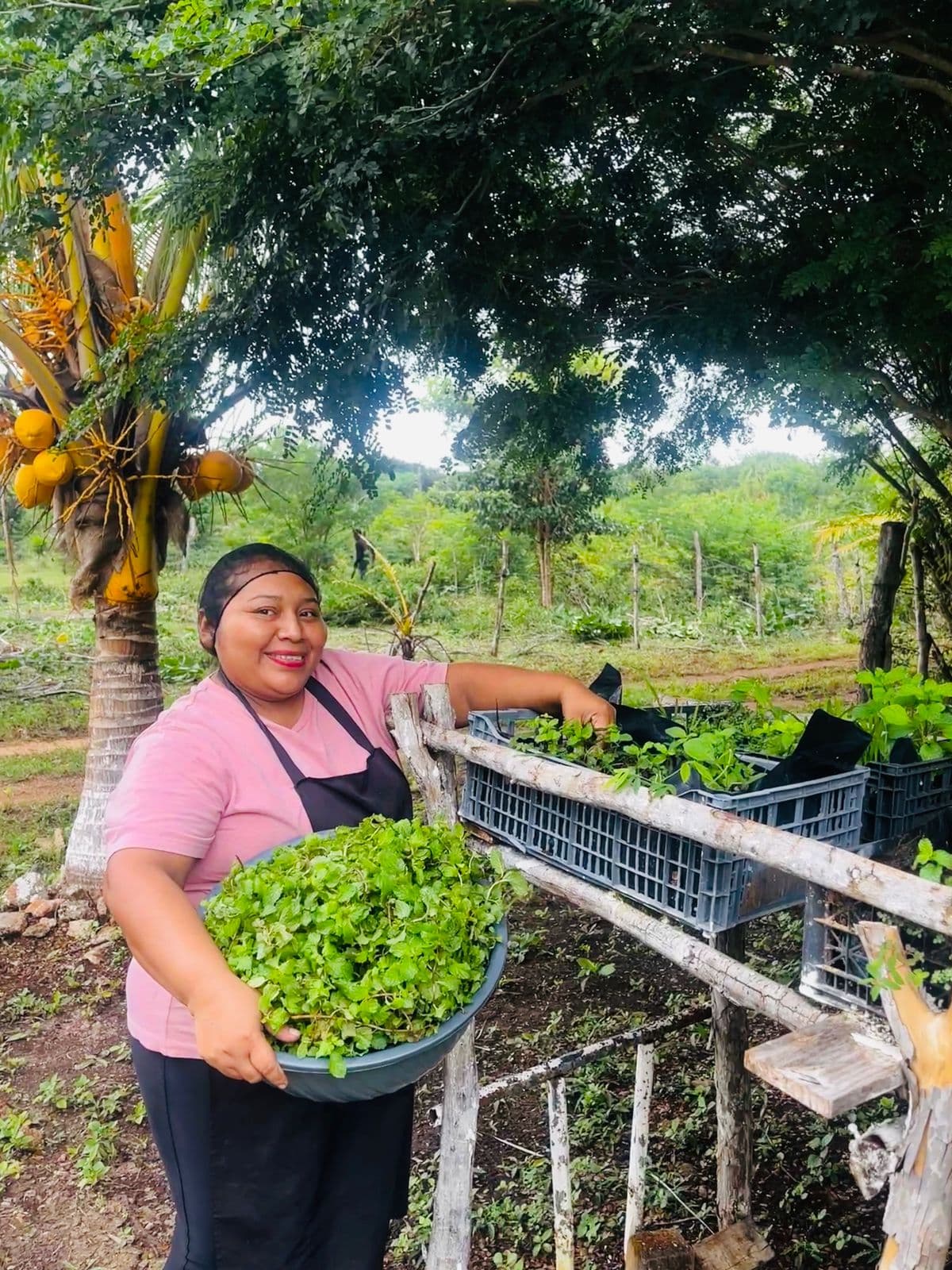 Bruja Sana's herb garden in Yucatán