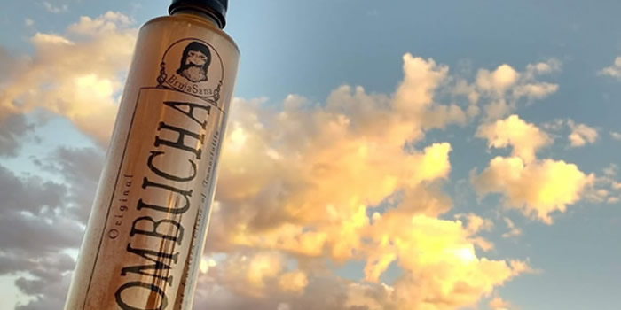 Kombucha Bruja Sana - Bebida Kombucha