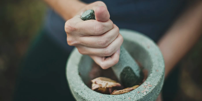 Kombucha Bruja Sana - Bebida Kombucha