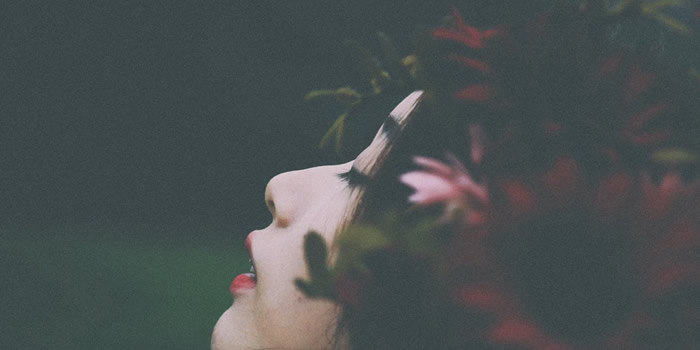 Origen de la Kombucha bruja Sana