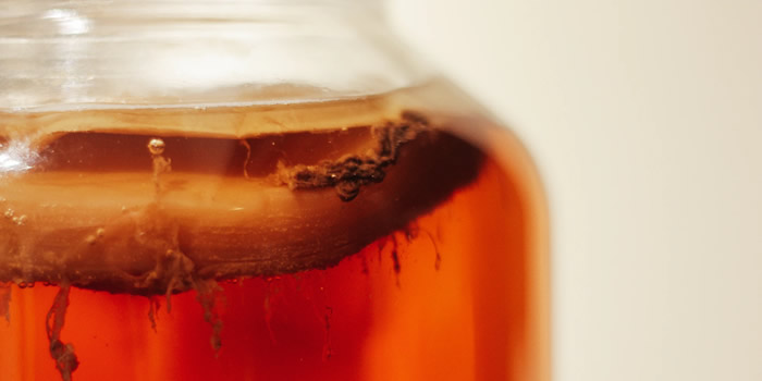 Kombucha Bruja Sana - Bebida Kombucha