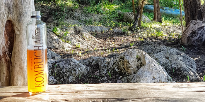 Kombucha Bruja Sana - Bebida Kombucha