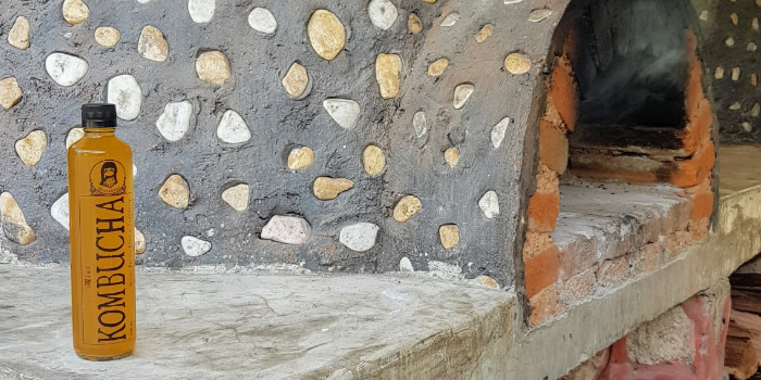 Origen de la Kombucha bruja Sana