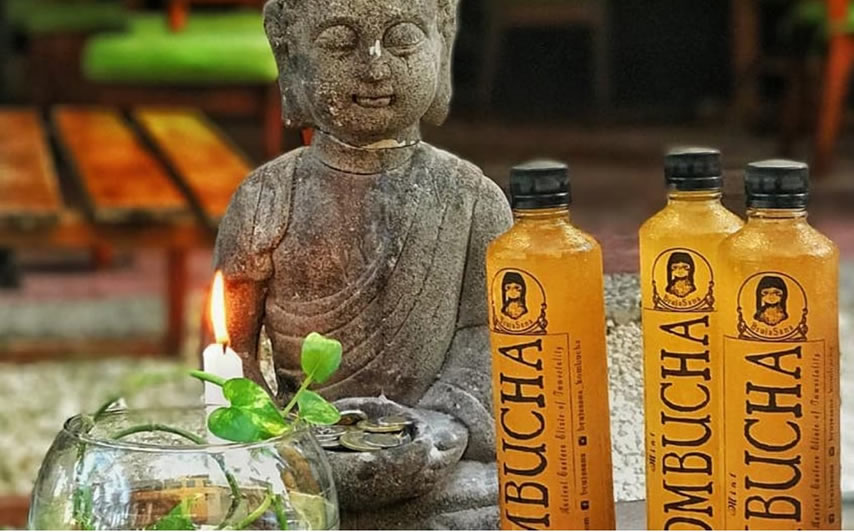 Beneficios de la Kombucha