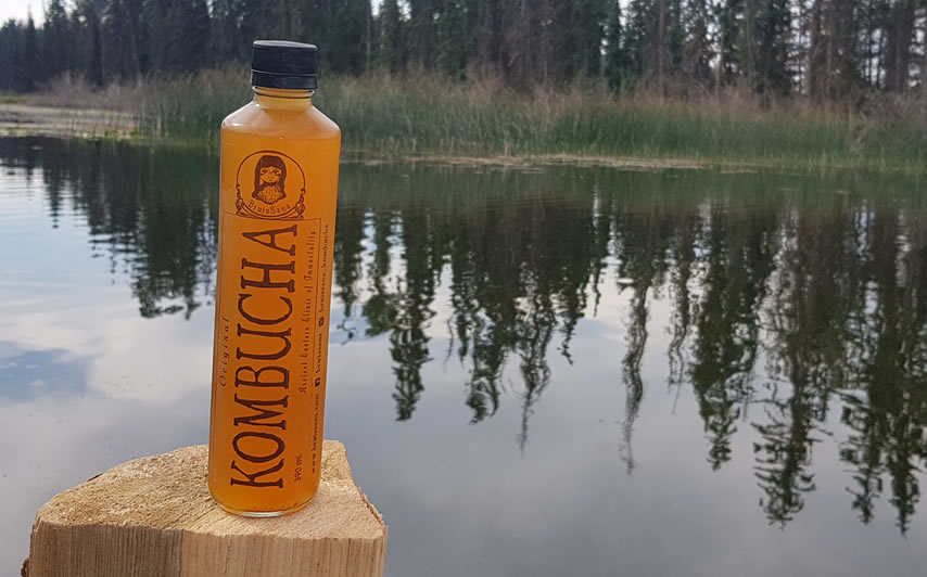 Beneficios de la Kombucha